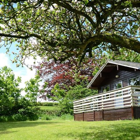 Avallon Lodges Лонсестън Екстериор снимка