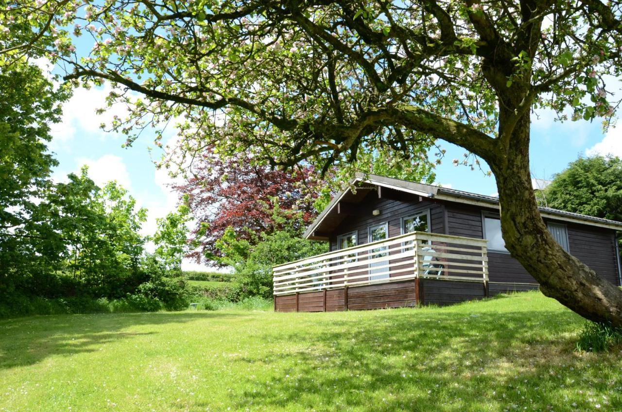 Avallon Lodges Лонсестън Екстериор снимка
