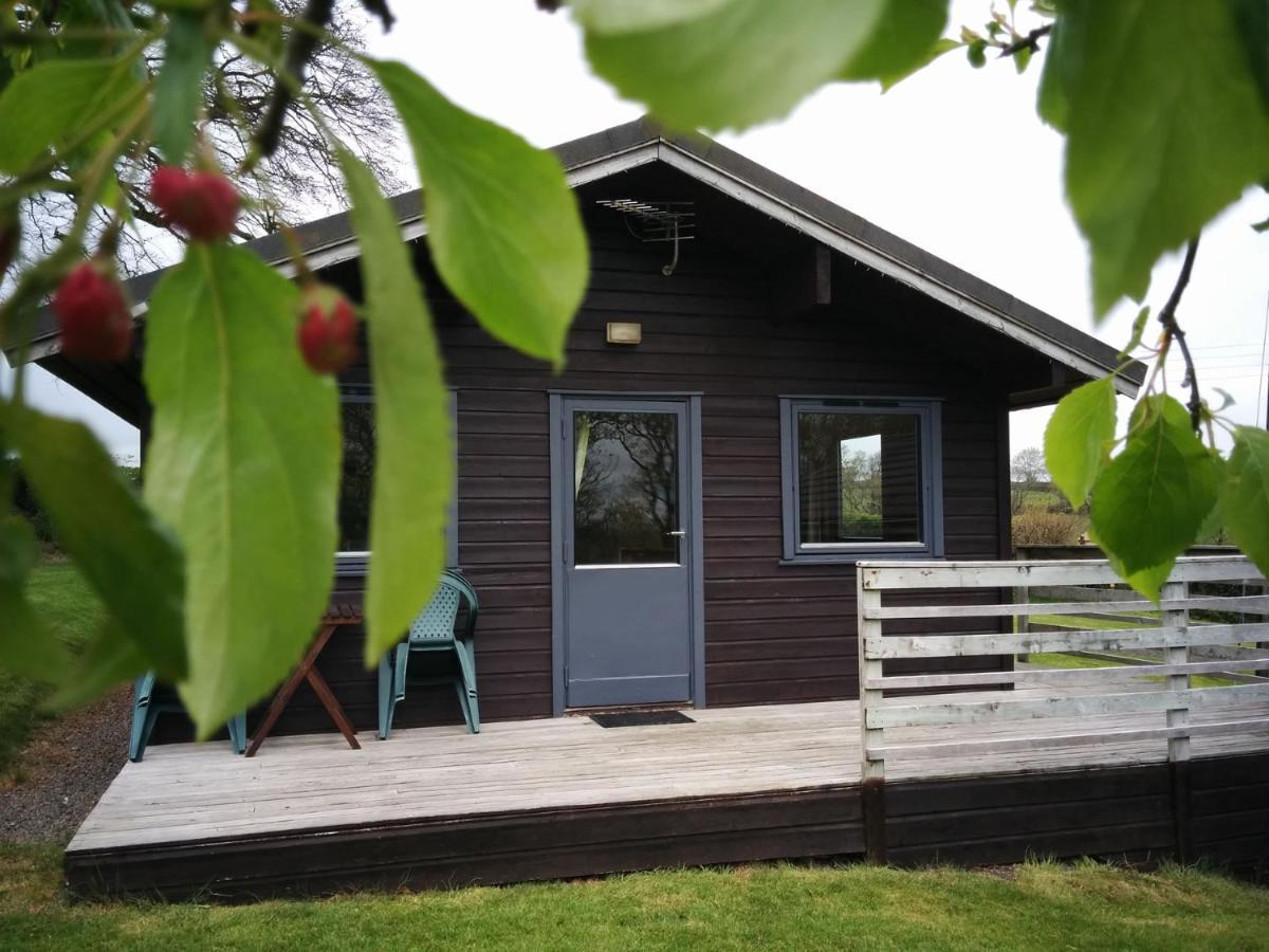 Avallon Lodges Лонсестън Екстериор снимка