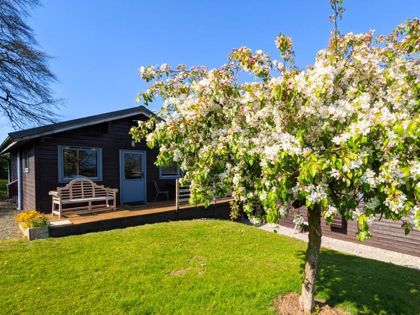 Avallon Lodges Лонсестън Екстериор снимка