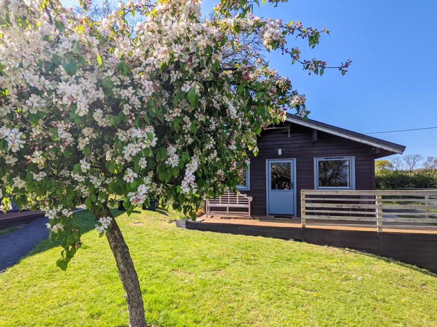 Avallon Lodges Лонсестън Екстериор снимка